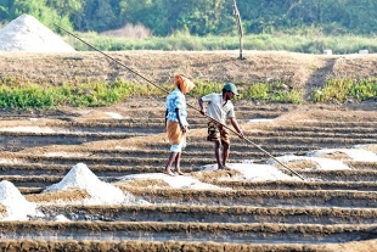 Are Goans losing their IDENTITY  in the State?