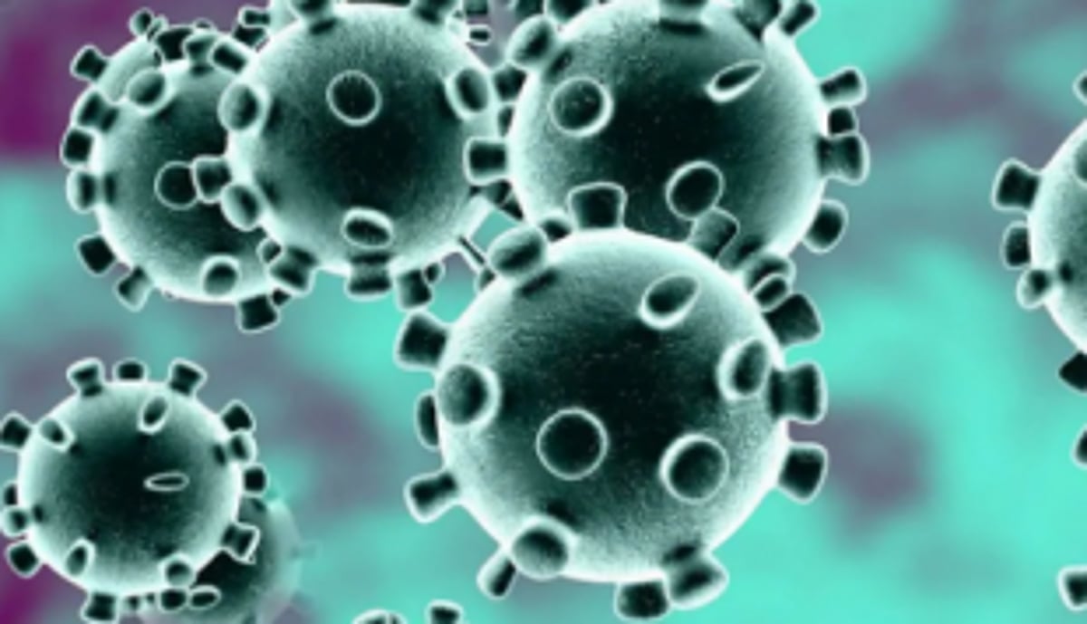 Are isolated cases an indication of community transmission?