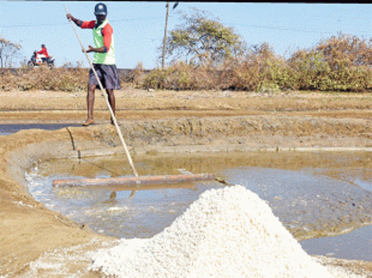 Are these pans  worth their salt?