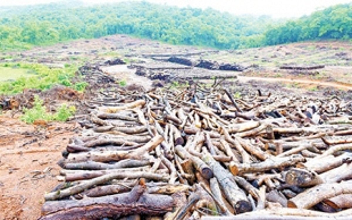 Are we  missing  the bus?