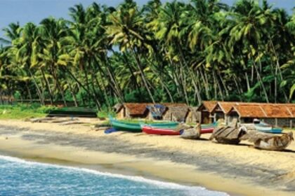 Are you proud to be a Goan?