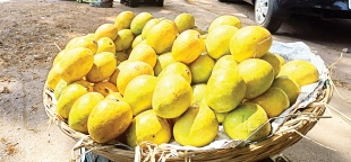 Are you really getting the King of fruits or an artificial clone?