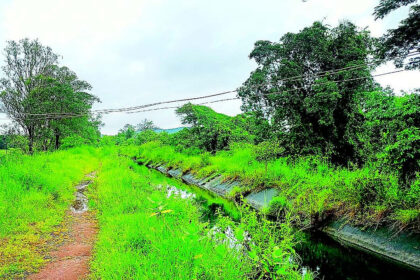 Areal farmers forced to dodge high-tension power lines to access fields