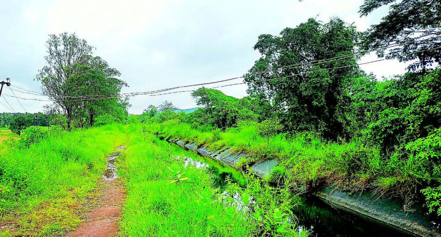 Areal farmers forced to dodge high-tension power lines to access fields 1 Areal farmers forced to dodge high-tension power lines to access fields