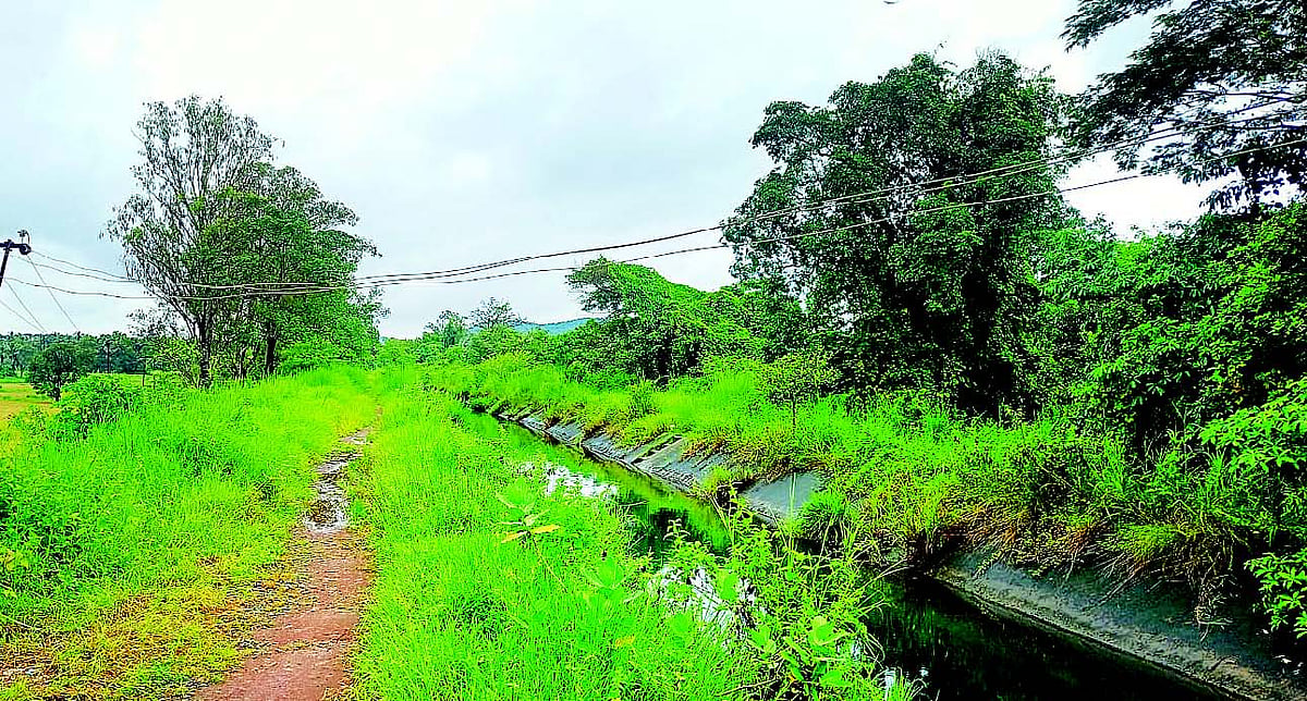 Areal farmers forced to dodge high-tension power lines to access fields