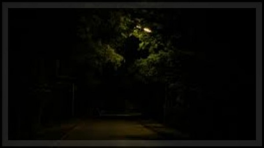 Arlem Bypass Poses Nighttime Hazard Due to Lack of Streetlights 1 Arlem Bypass Poses Nighttime Hazard Due to Lack of Streetlights