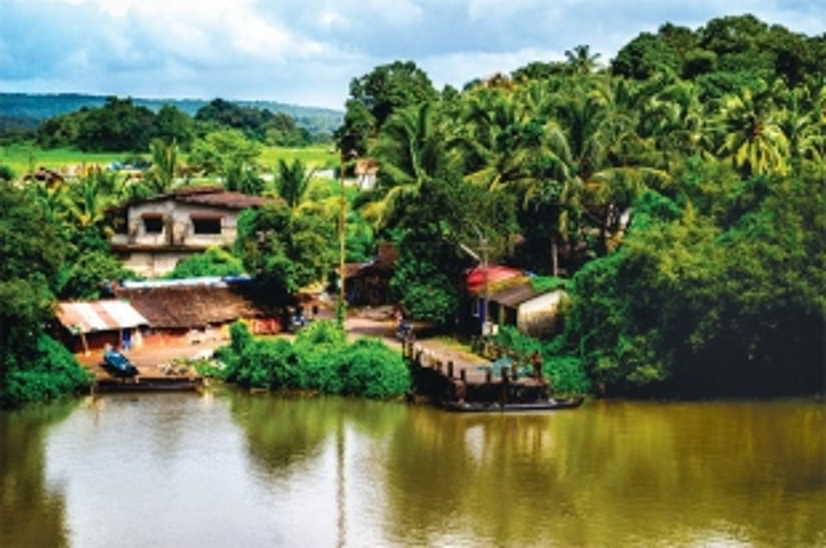 Artists for a noble cause