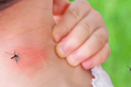 As COVID situation worsens, dengue sends alarm bells ringing