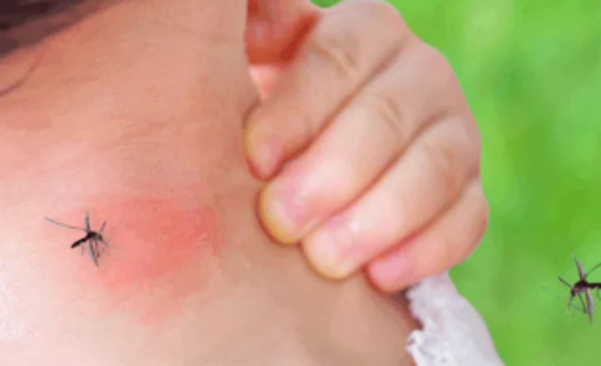 As COVID situation worsens, dengue sends alarm bells ringing