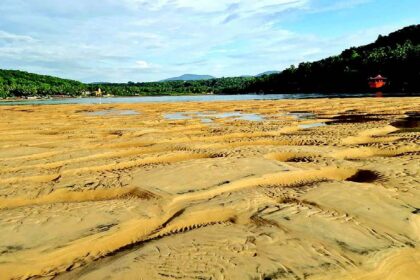 As beaches shrink, Goa scrambles to tackle erosion threat