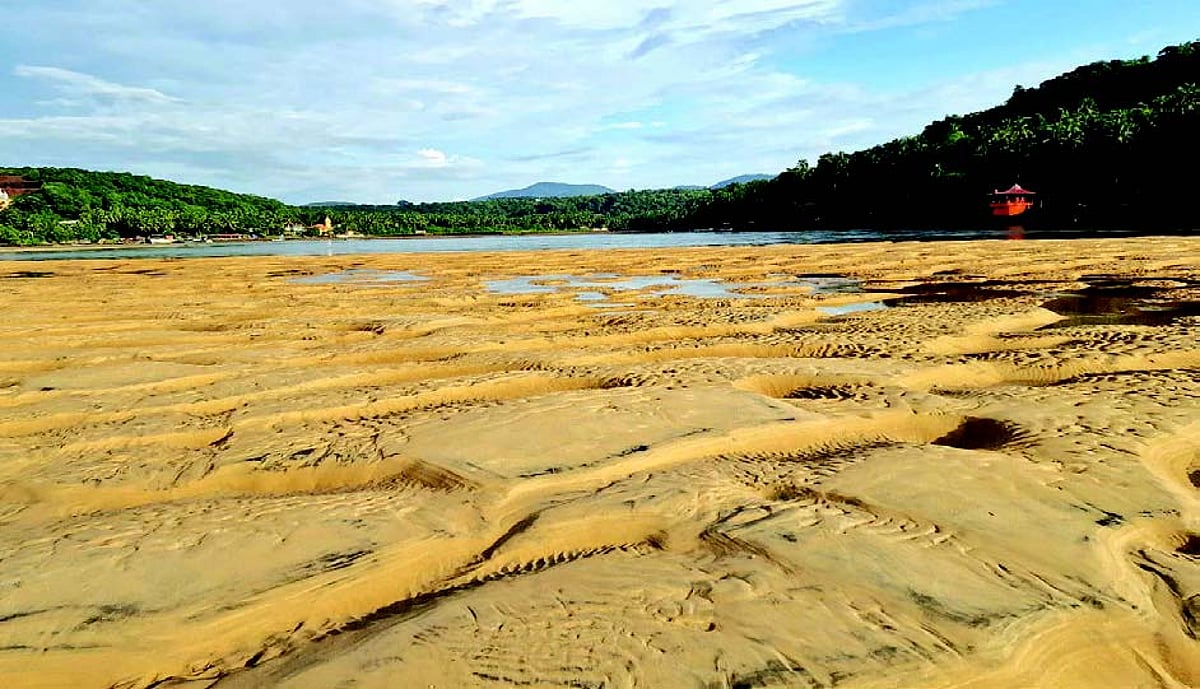 As beaches shrink, Goa scrambles to tackle erosion threat