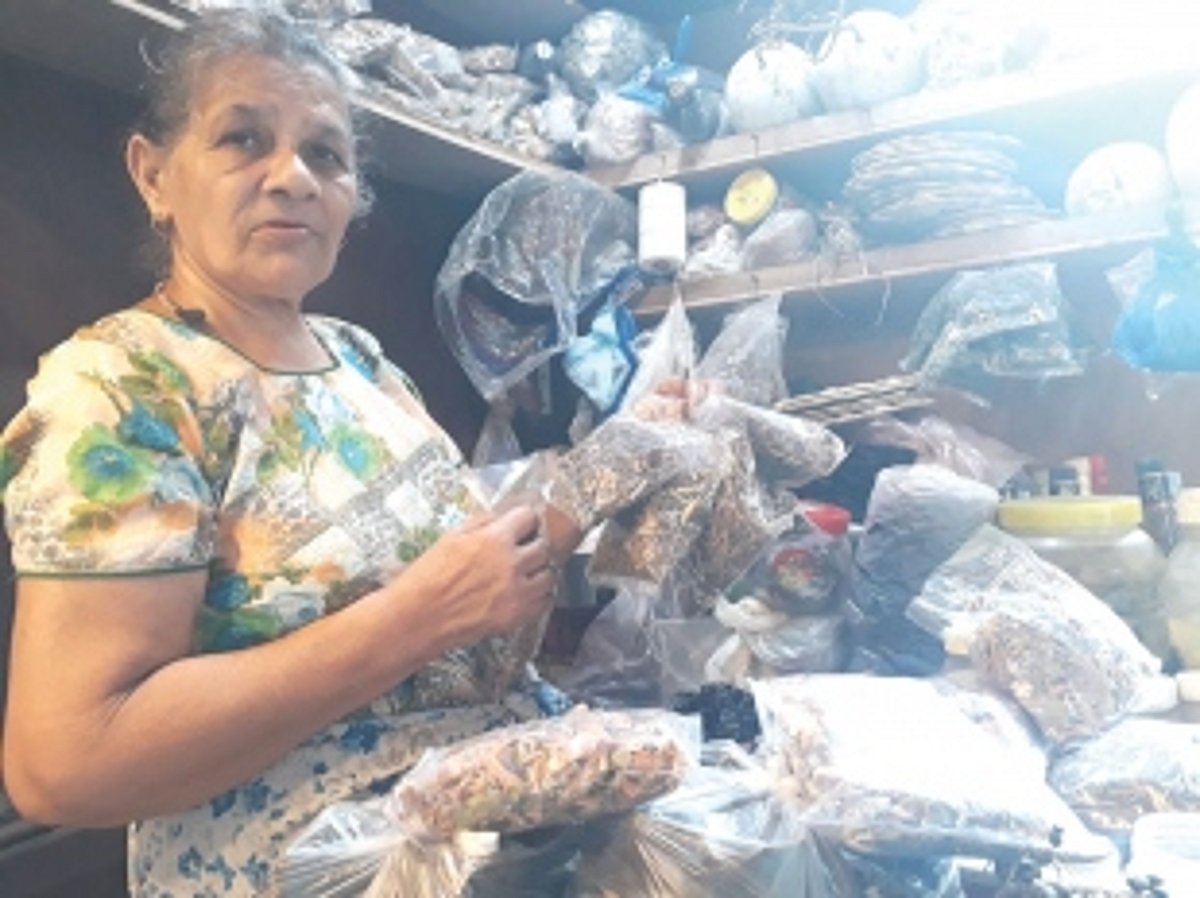 As forests in Goa vanish, so do traditional herbs that cure everything from jaundice to common colds