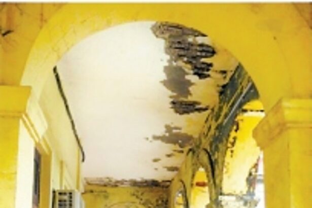 As rains near, Margao locals raise alarm over poor upkeep of colonial-era MMC building