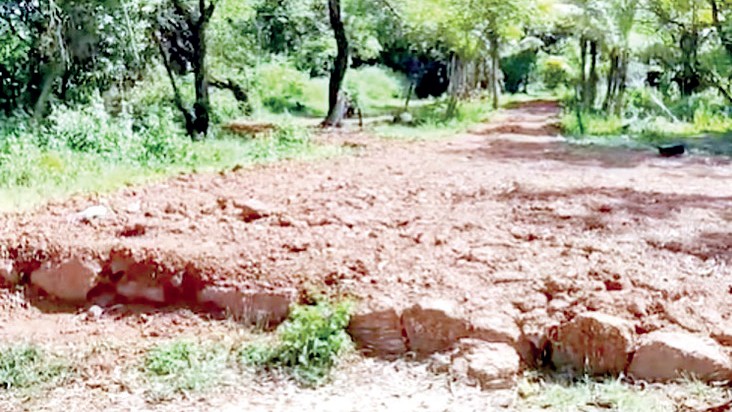 Ashish Nehra's Unauthorised Road in Cavelossim Removed, But Questions Remain Over Further Action