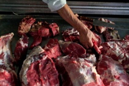 Ask Karnataka not to notify Cattle  Slaughter Bill, CSJP urges govt