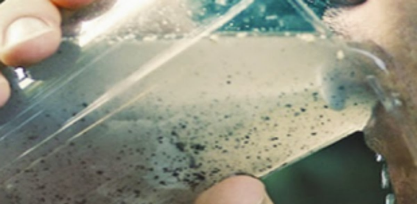 Assagao locals allege supply of contaminated drinking water