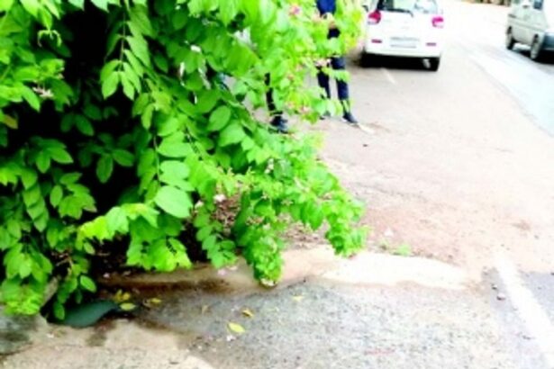 Assagao villagers demand closure of hotel for discharging sewage on the road