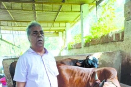 Assagao’s Kamat Dairy & Farm: A third-generation legacy thriving with innovation