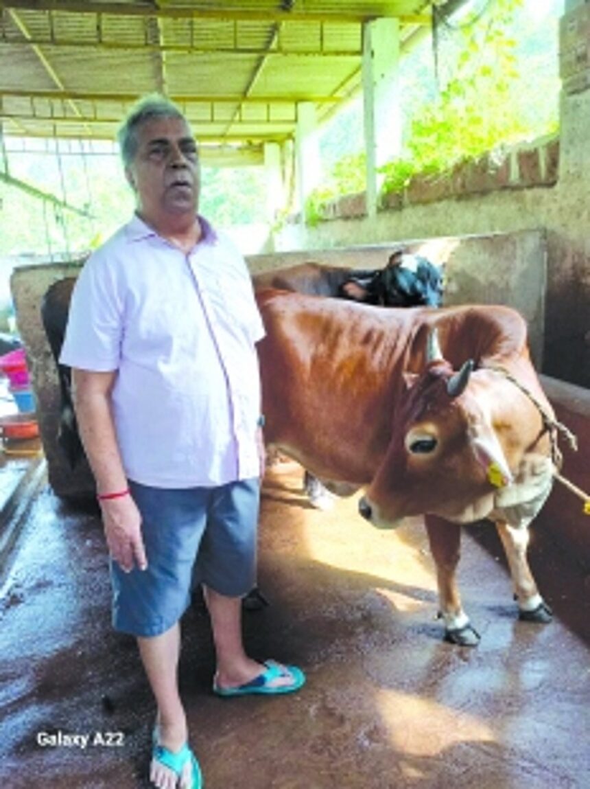 Assagao’s Kamat Dairy & Farm: A third-generation legacy thriving with innovation