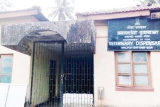 Assistant vets needed at Valpoi animal husbandry sub-centres
