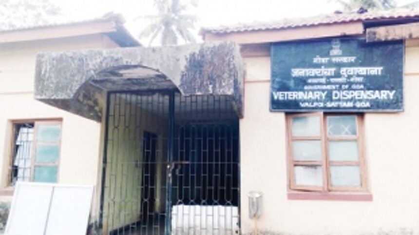 Assistant vets needed at Valpoi animal husbandry sub-centres 1 Assistant vets needed at Valpoi animal husbandry sub-centres