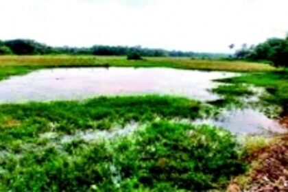 Assolna panchayat, locals successfully close sluice gate at Modlam Tollam Lake