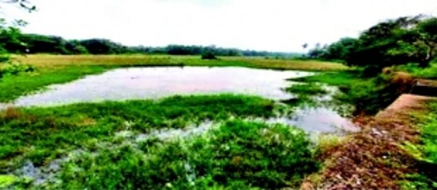 Assolna panchayat, locals successfully close sluice gate at Modlam Tollam Lake 1 Assolna panchayat, locals successfully close sluice gate at Modlam Tollam Lake