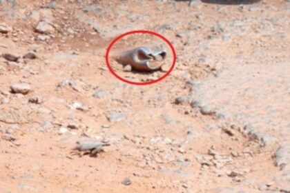 Assure tarring of excavated portion