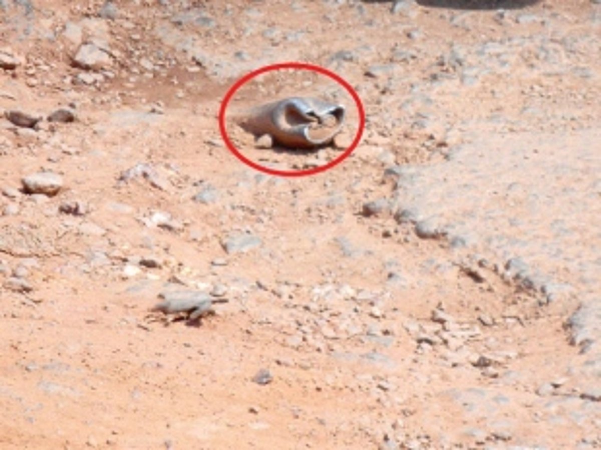 Assure tarring of excavated portion