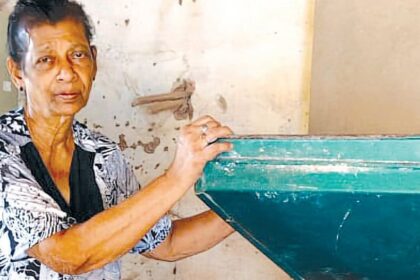 At 75, Angela Vaz Upholds a Legacy of Traditional Flour Milling in Goa