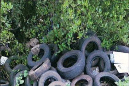At a time when the Directorate of Health Services is looking at containing vector-borne diseases like chikungunya and dengue, these discarded tyres dumped by the roadside, close to the KTC Circle in Panjim, could be possible breeding sites for mosquitoes