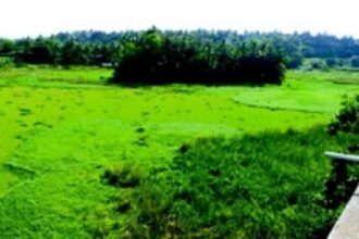 At public hearing, 58 citizens weigh in on wetland tag for Maimollem Lake