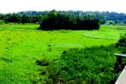 At public hearing, 58 citizens weigh in on wetland tag for Maimollem Lake