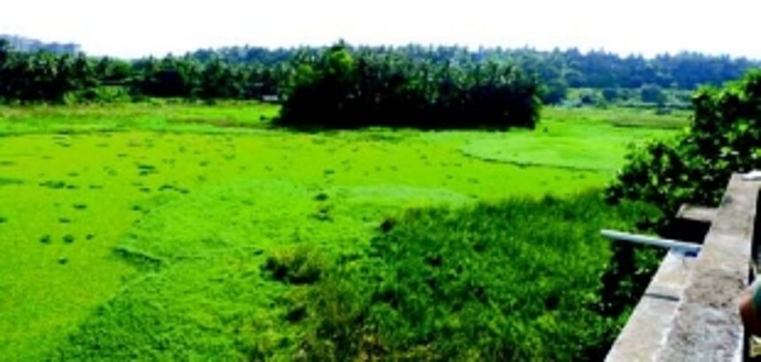 At public hearing, 58 citizens weigh in on wetland tag for Maimollem Lake