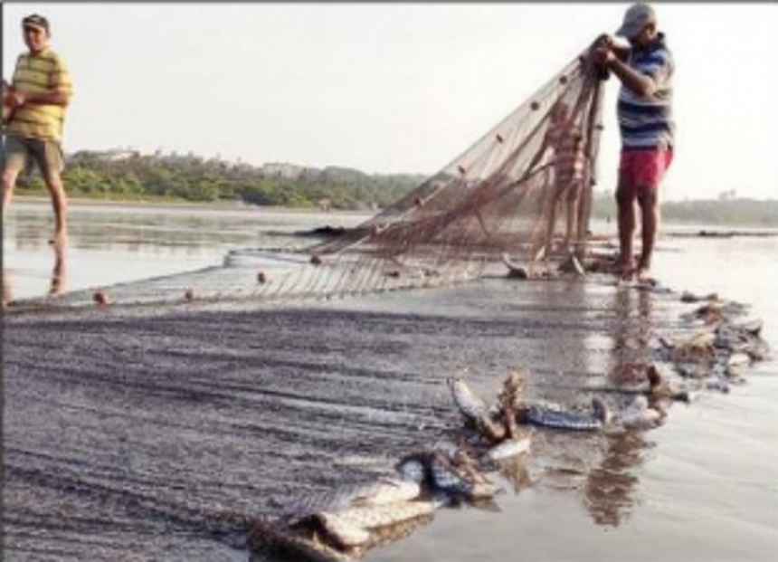 Atmanirbhar- In Goa, it’s simply about going back to who we once were