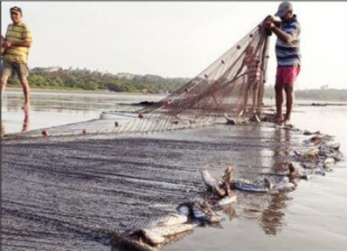 Atmanirbhar- In Goa, it’s simply about going back to who we once were