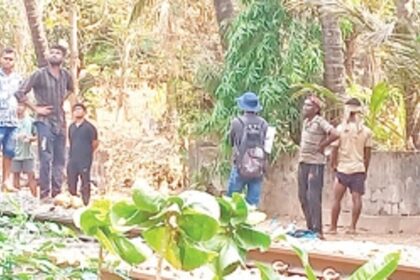 Attempts by Railway workers to cut prized mango tree near railway tracks infuriate Mollo residents