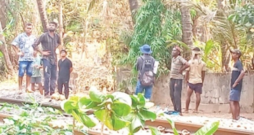 Attempts by Railway workers to cut prized mango tree near railway tracks infuriate Mollo residents