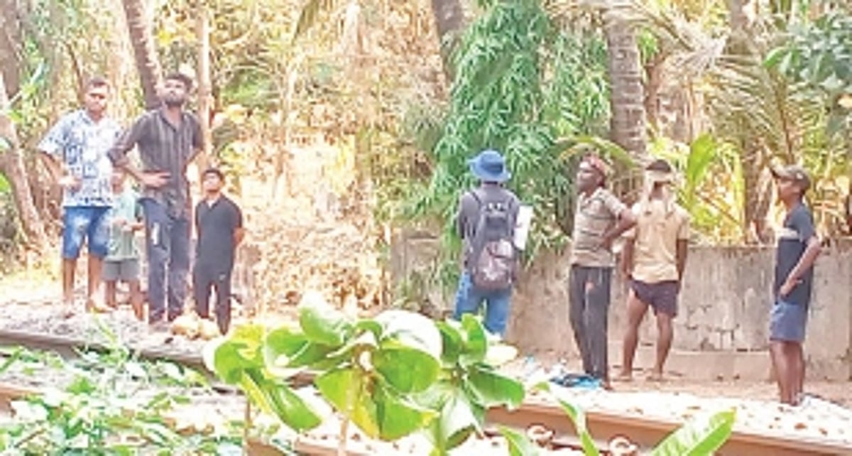 Attempts by Railway workers to cut prized mango tree near railway tracks infuriate Mollo residents