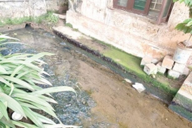 Authorities insensitive to suffering as Mala residents continue to wade through sewage