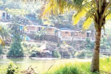 Authorities turn Nelson’s eye to illegal hill cutting,  felling of trees near Sweet Water Lake in Arambol