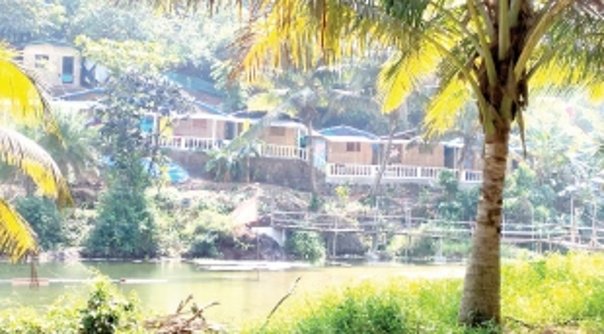 Authorities turn Nelson’s eye to illegal hill cutting,  felling of trees near Sweet Water Lake in Arambol