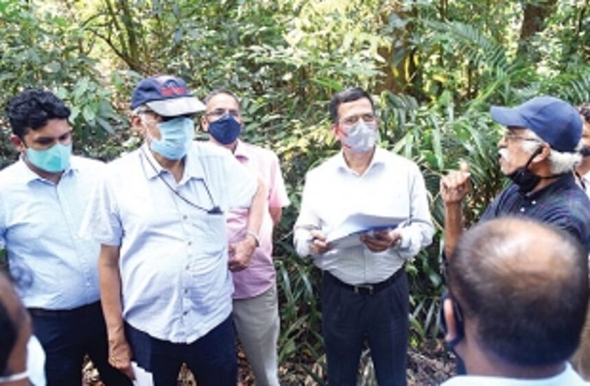 Avoid felling trees, take diversion, CEC tells PWD, NHAI