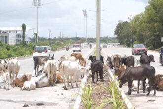 Avoiding their entry in subways