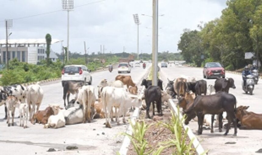 Avoiding their entry in subways