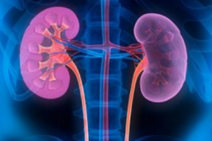 Awareness created on kidney treatment and transplant option