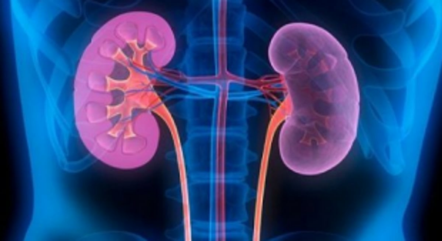 Awareness created on kidney treatment and transplant option