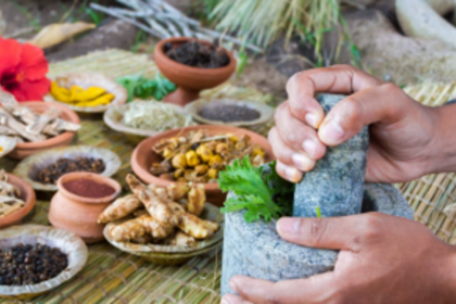 Ayurveda must introduce modern tools  to meet global quality standards: Experts