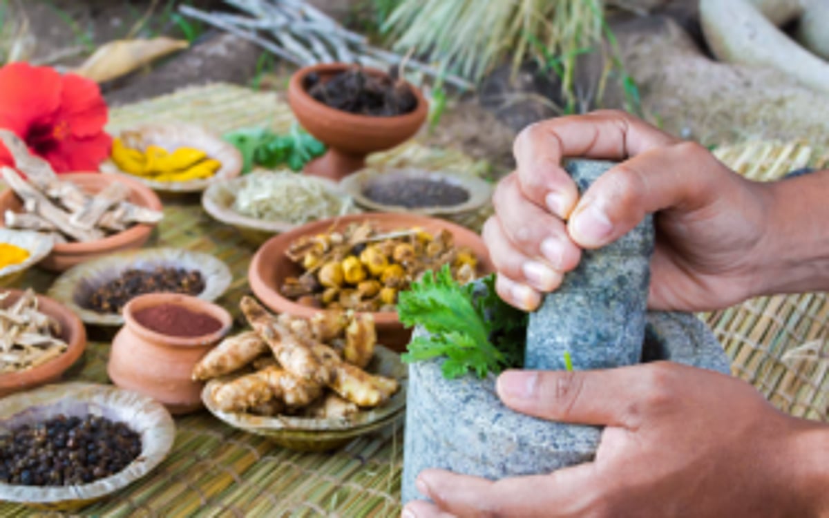 Ayurveda must introduce modern tools  to meet global quality standards: Experts