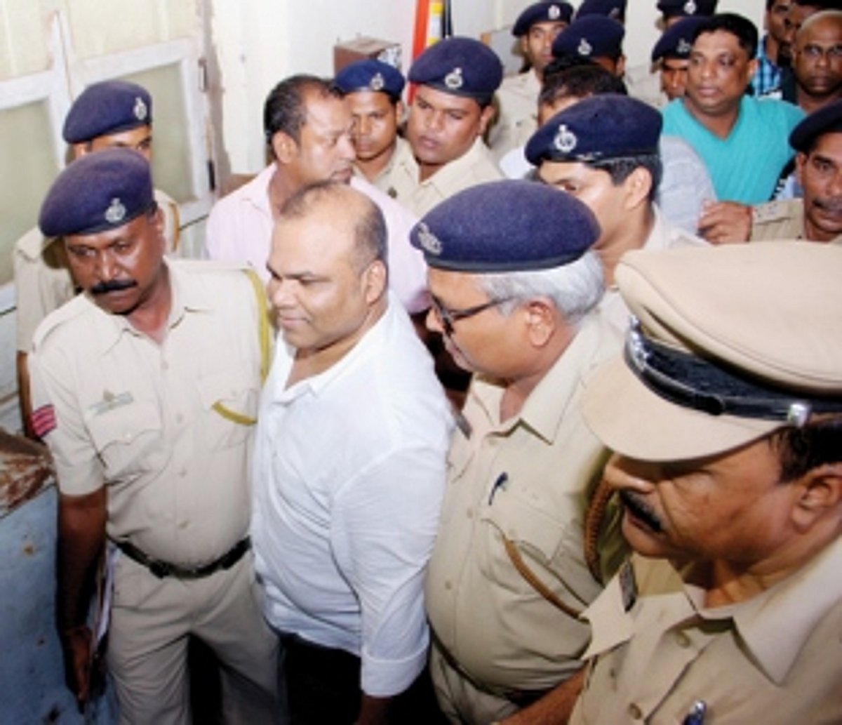 BACK FROM THE SHADOWS